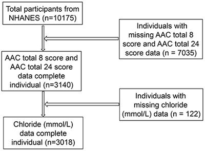 Serum Chloride Level Is Associated With Abdominal Aortic Calcification